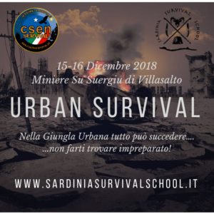 Urban Survival